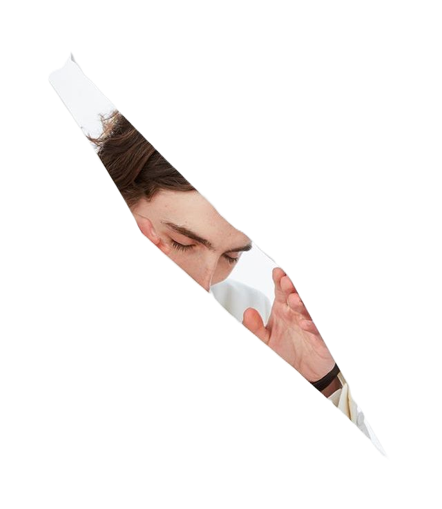 Timothée Chalamet OSCARS 2018 Photograph JR.png