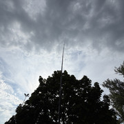IMG 7236