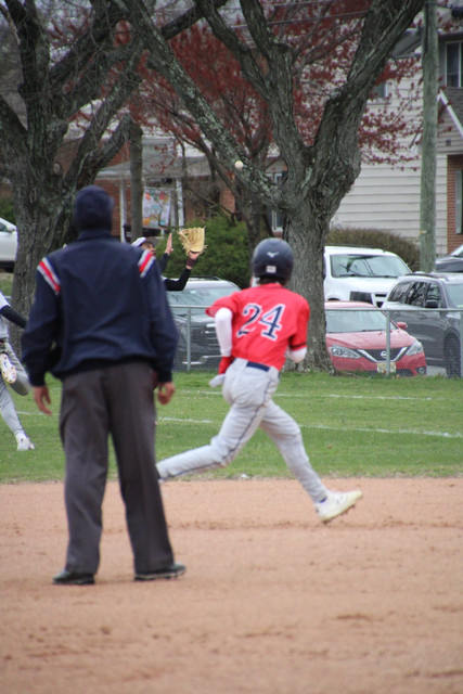 IMG-0226.jpg