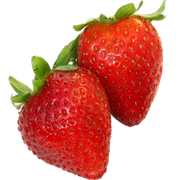 0-7b6e4