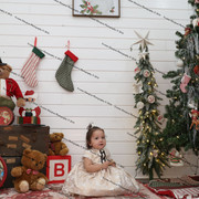 IMG 4442