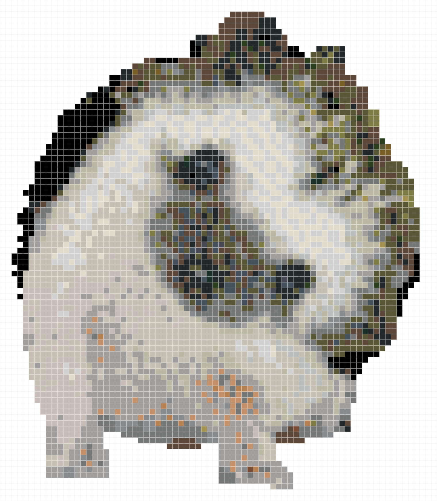 Little Hedgehog