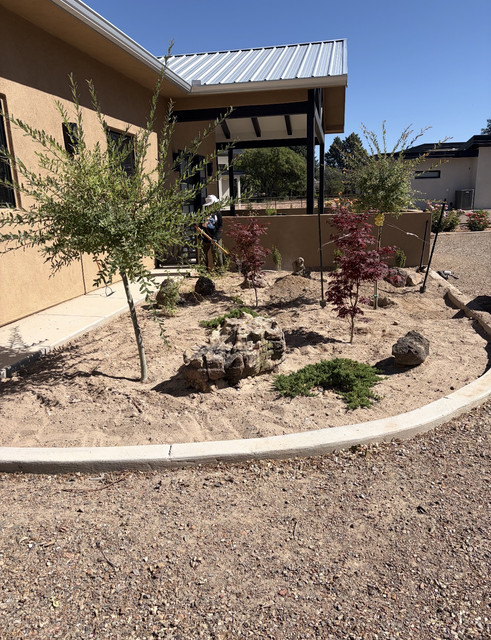 Yard cleanup Albuquerque