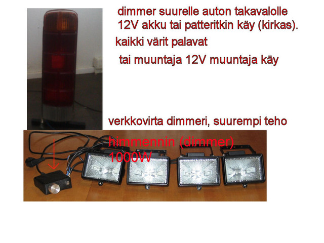 dimmereita