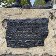 IMG 0344