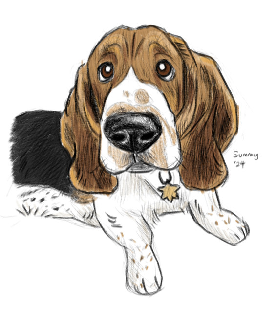 pet sketch.jpg