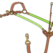 martingaali12 3 2