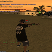 Deagle-12