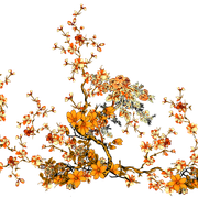 a685f4e46f04fafa50fd0be09451e4c0