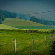 L1461406