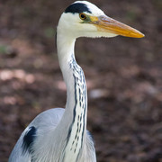 IMG-1067-2