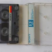 IMG-0081