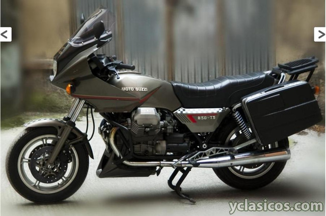B-T5-Limitada-2