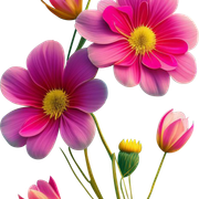 37d16a33d35e70274233fe8db257a329