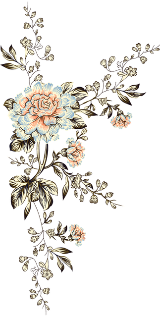 32fe29bfb290f0dcf18d3794714d0a07.png