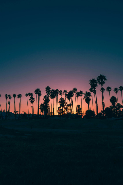Beach-Sunset.jpg