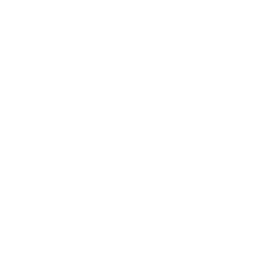 camera flash.png