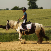 DSC04005