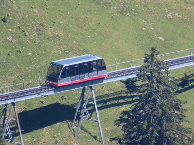 IMG 1794.jpg
