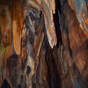 L1013496