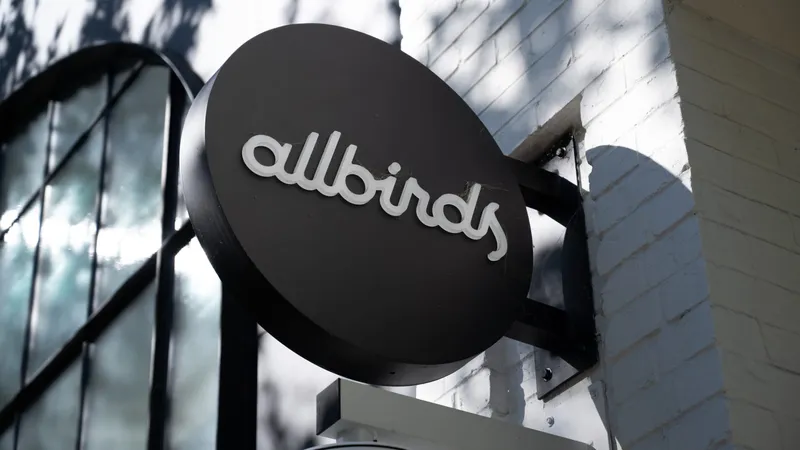 Allbirds переименовалась в Smartbird и наняла нового CEO: акции взлетели на 34%