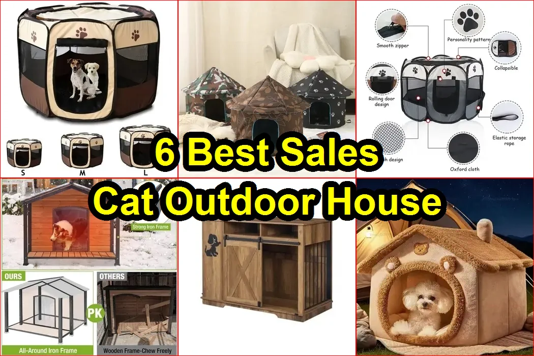 貓戶外屋 評價