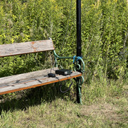 IMG-9353