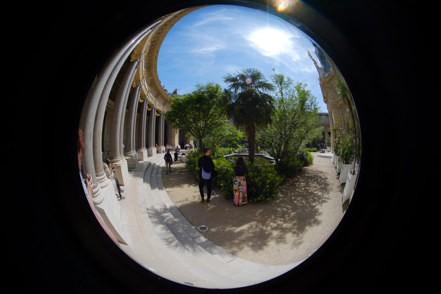 DSCF9141.jpg