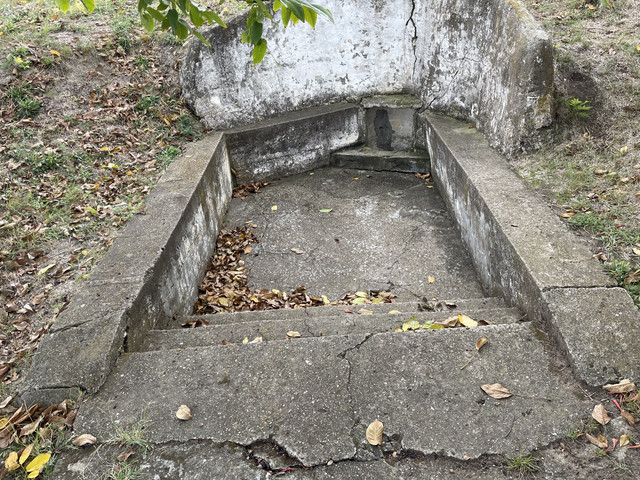 IMG 0383.jpg