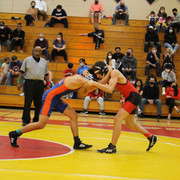 IMG-0246