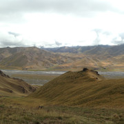 IMG 1335