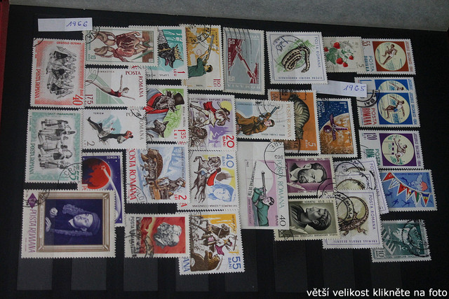 IMG-3200.jpg