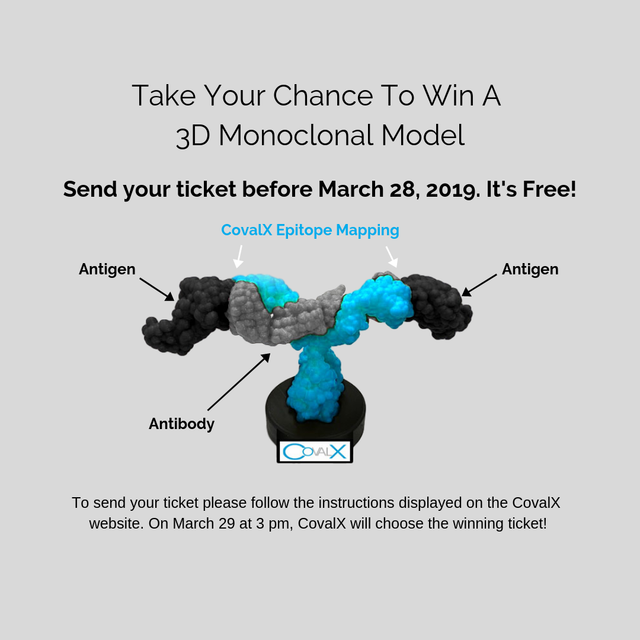3-D-Model-Content-Online-Campaign-2.png