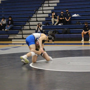 IMG-0329