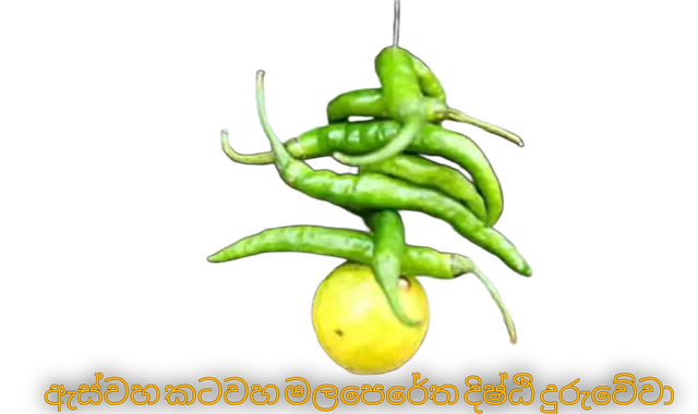 dehi