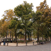 IMG-0003