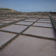 DSC00964