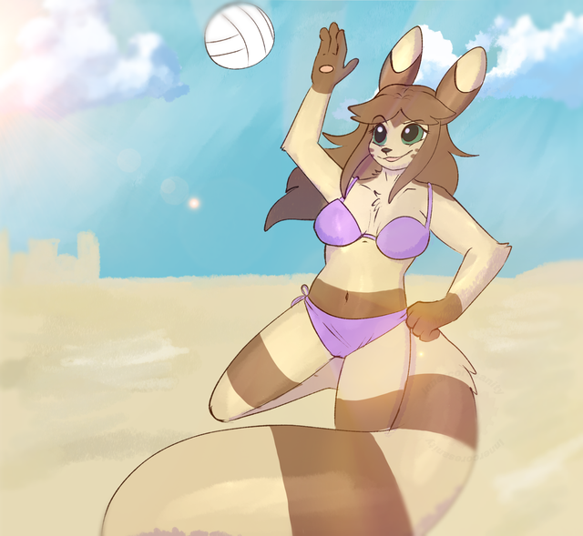 volleyfurr