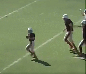 insta.gif