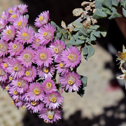 IMG-7644