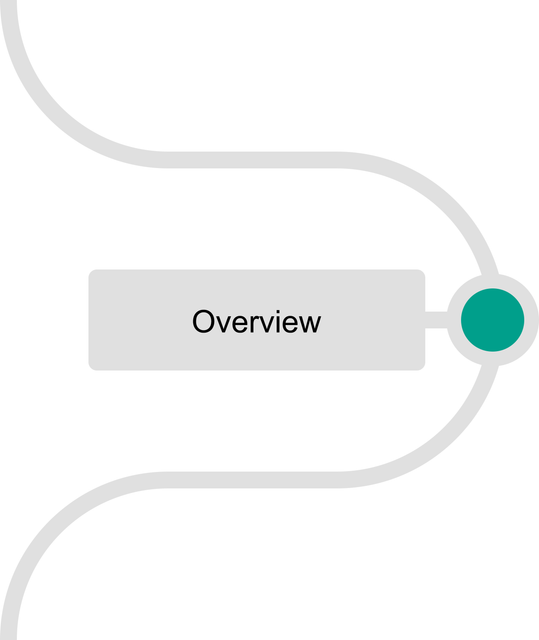 Team Lead - Overview