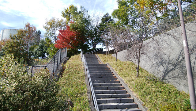 IMG-20221124-113930