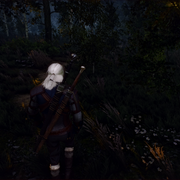 witcher3 2016 07 30 15 37 27