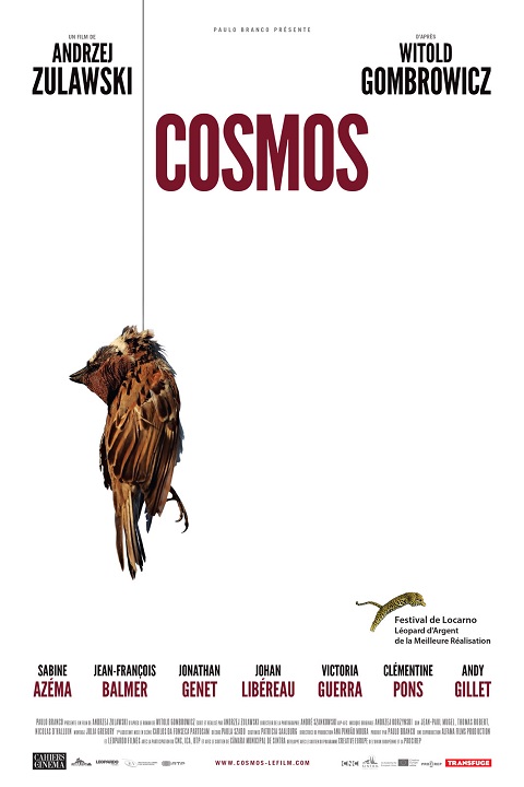 Cosmos.jpg