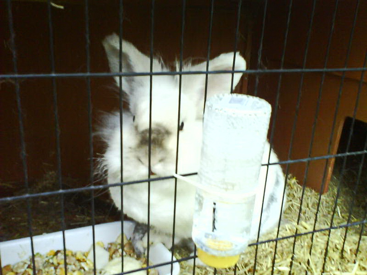 image-upload-3-771388