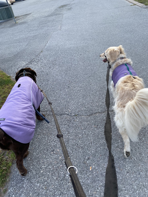 D0405181-E9-BF-4-E98-B9-EC-DBF2-AC625-BC