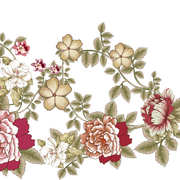 draw flower