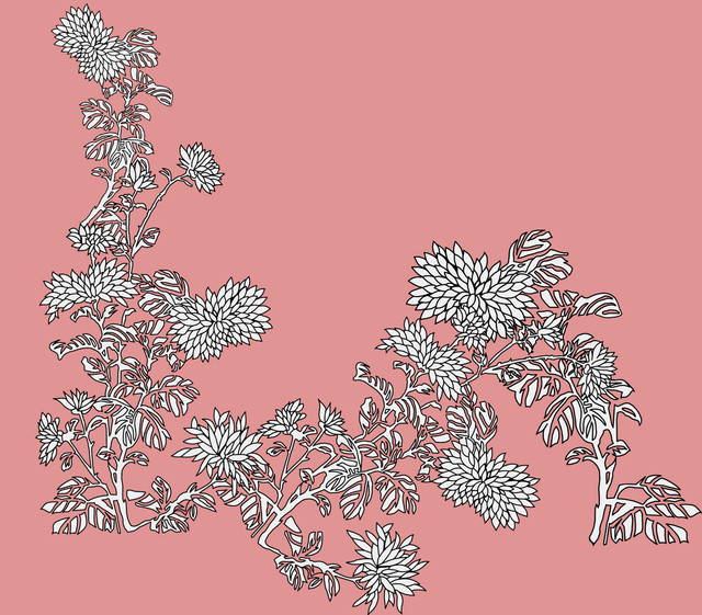 shutterstock-2082139258.jpg