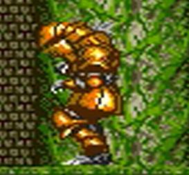 GAME1.jpg
