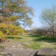 DSC-0137